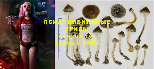 MDMA Premium VHQ Алексеевка