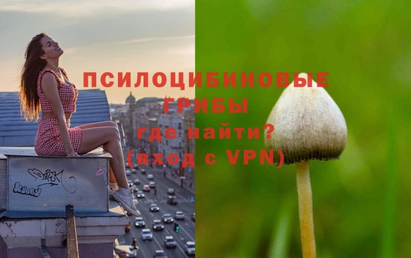 молекула духа Нягань