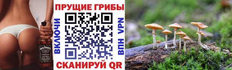 Галлюциногенные грибы ЛСД  Мамоново 